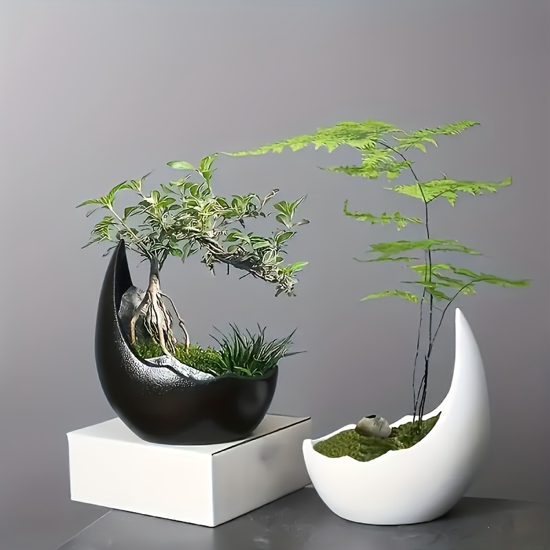 Bonsai Tree Zen Garden - กระถางดอกไม้เซรามิกทรงพระจันทร์เสี้ยว กระถางบอนไซเซน กระถางตั้งโต๊ะตกแต่ง กระถางต้นพริกไทย กระถางตอไม้เก่า กระถางจัดสวน