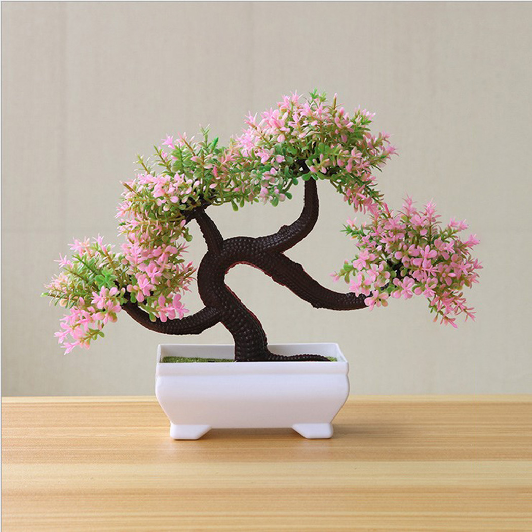 Bonsai Garden Backyard - ต้นบอนไซตกแต่งในกระถางสำหรับห้องนั่งเล่น ห้องนอน สำนักงาน ห้องครัว สวน สนามหน้าบ้าน