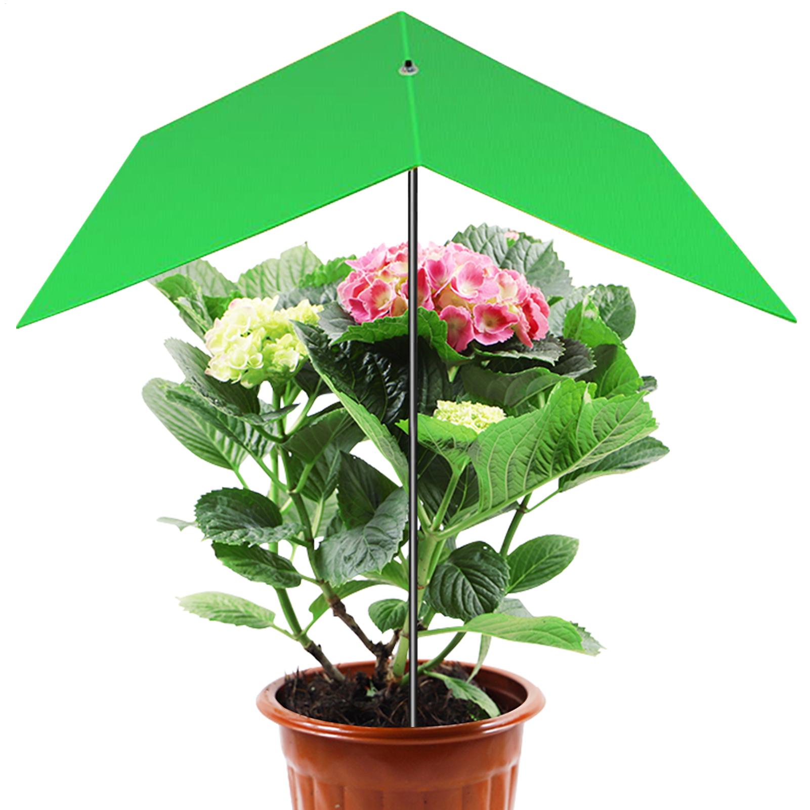 ร่มบังแดดสำหรับกระถางต้นไม้ ป้ - Bonsai Garden Backyard บทวิจารณ์และราคา