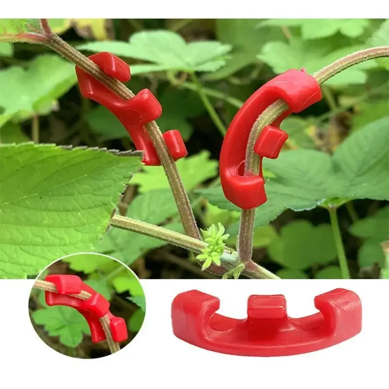 10-100 ชิ้น คลิปดัดกิ่งต้นไม้  - Concave Branch Cutter บทวิจารณ์และราคา
