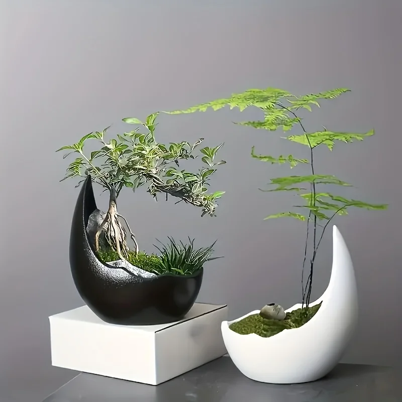 กระถางดอกไม้เซรามิกทรงพระจันทร - Bonsai Tree Zen Garden บทวิจารณ์และราคา