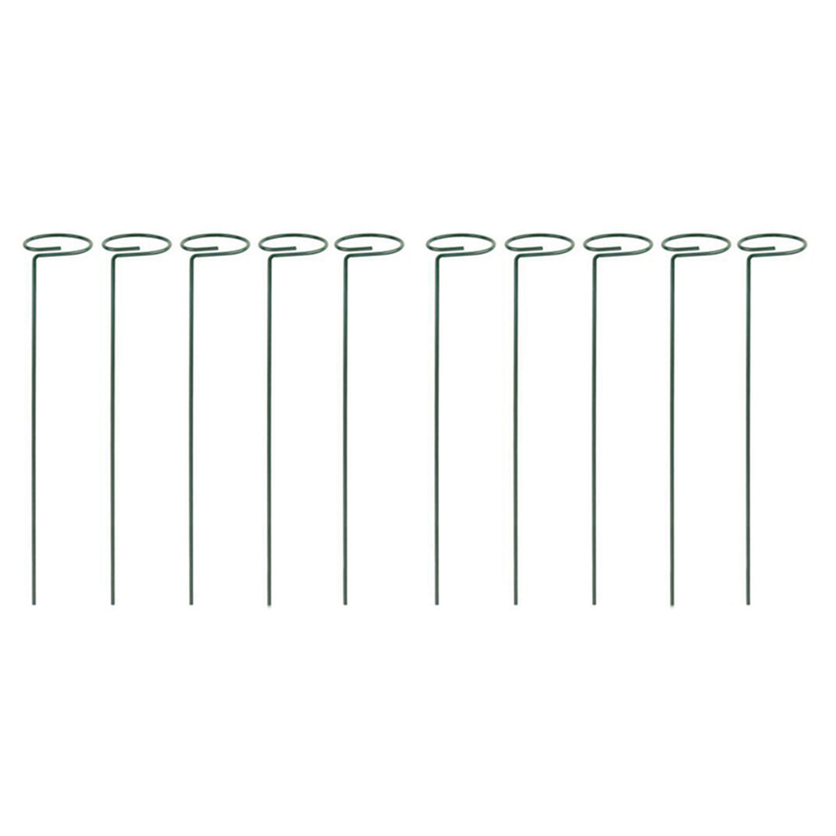 AB33-16PCS พืชที่สวยงามสนับสนุ - Bonsai Garden Backyard บทวิจารณ์และราคา