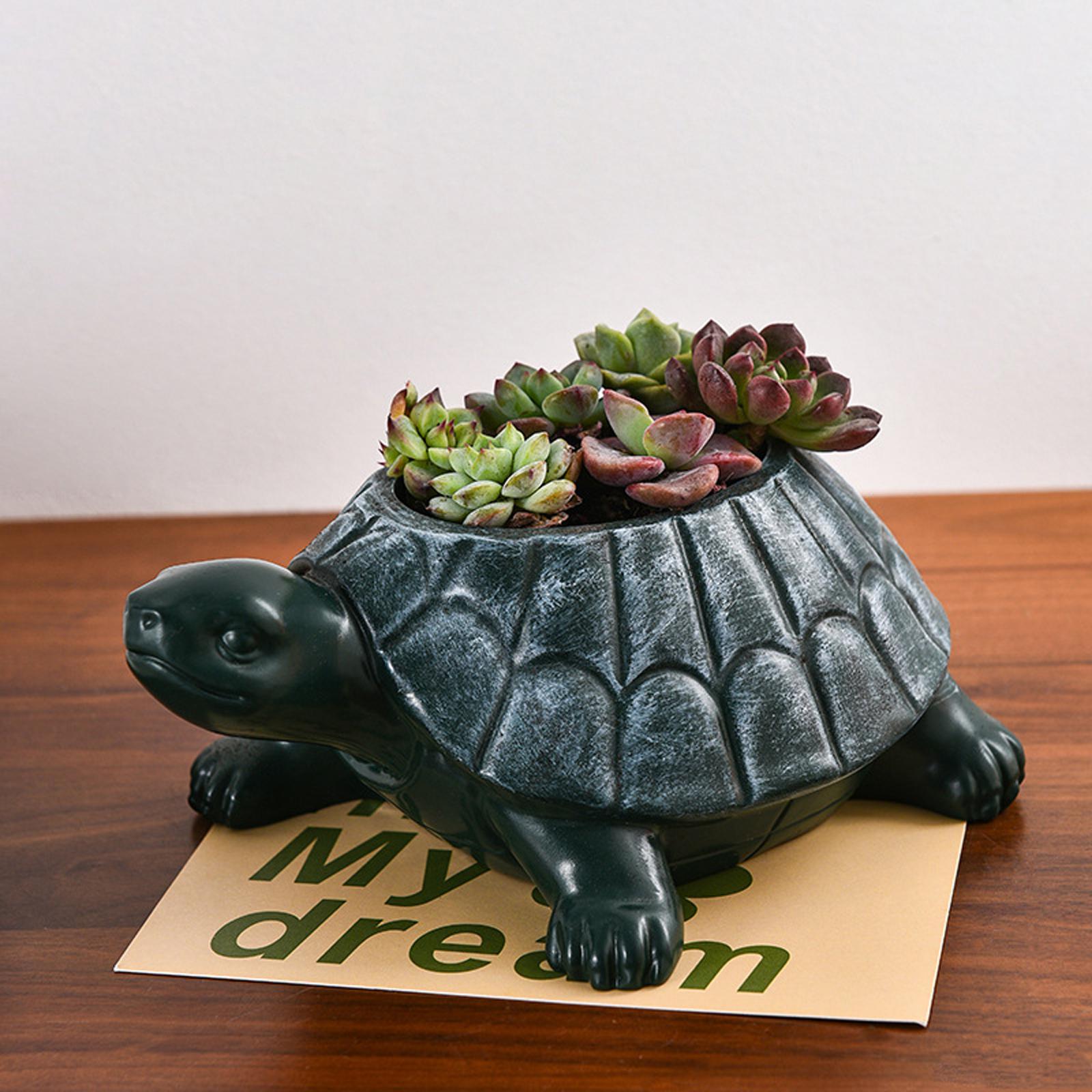 กระถางต้นไม้รูปเต่า ของสะสม ขอ - Bonsai Garden Cafe บทวิจารณ์และราคา