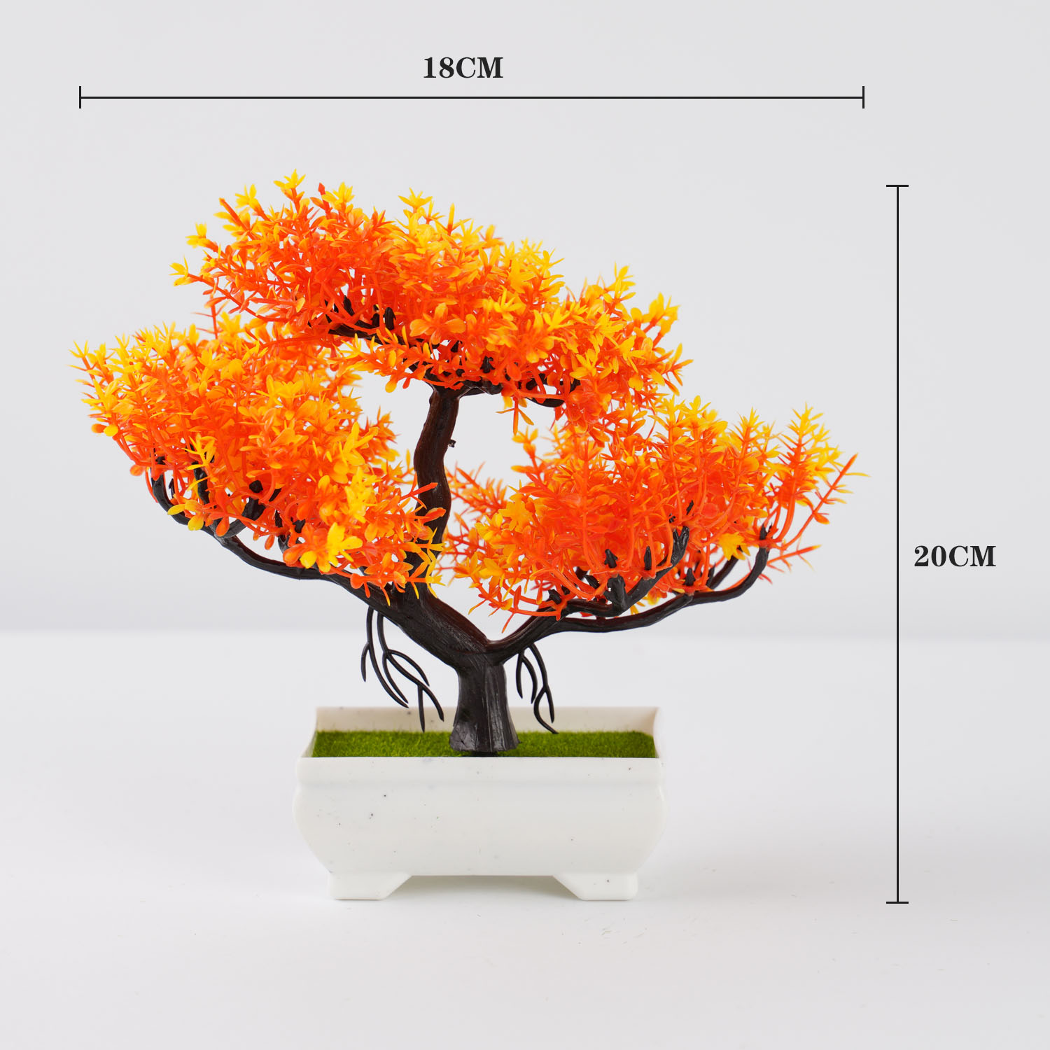 กระถางปลูกต้นไม้ขนาดเล็กบอนไซป - Bonsai Garden Sushi บทวิจารณ์และราคา