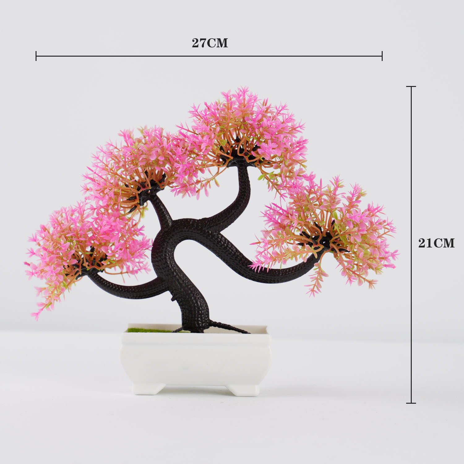 กระถางปลูกต้นไม้ขนาดเล็กบอนไซป - Bonsai Garden Sushi บทวิจารณ์และราคา