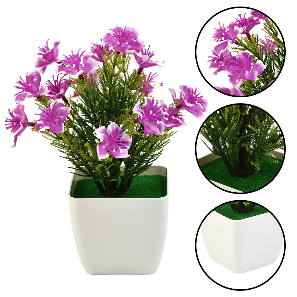 สินค้าขายดี อุปกรณ์ตกแต่งใหม่  - Bonsai Garden For Sale บทวิจารณ์และราคา