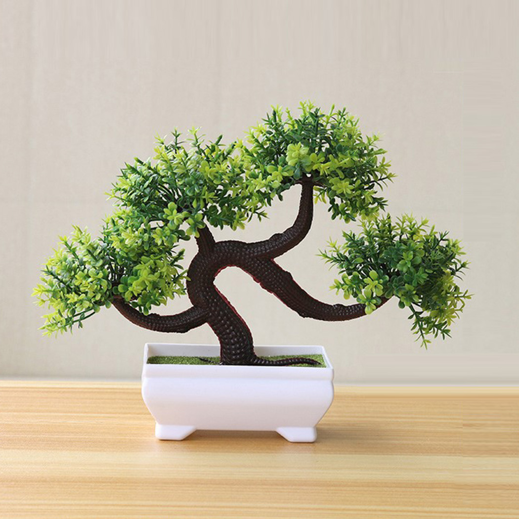 ต้นบอนไซตกแต่งในกระถางสำหรับห้ - Bonsai Garden Backyard บทวิจารณ์และราคา