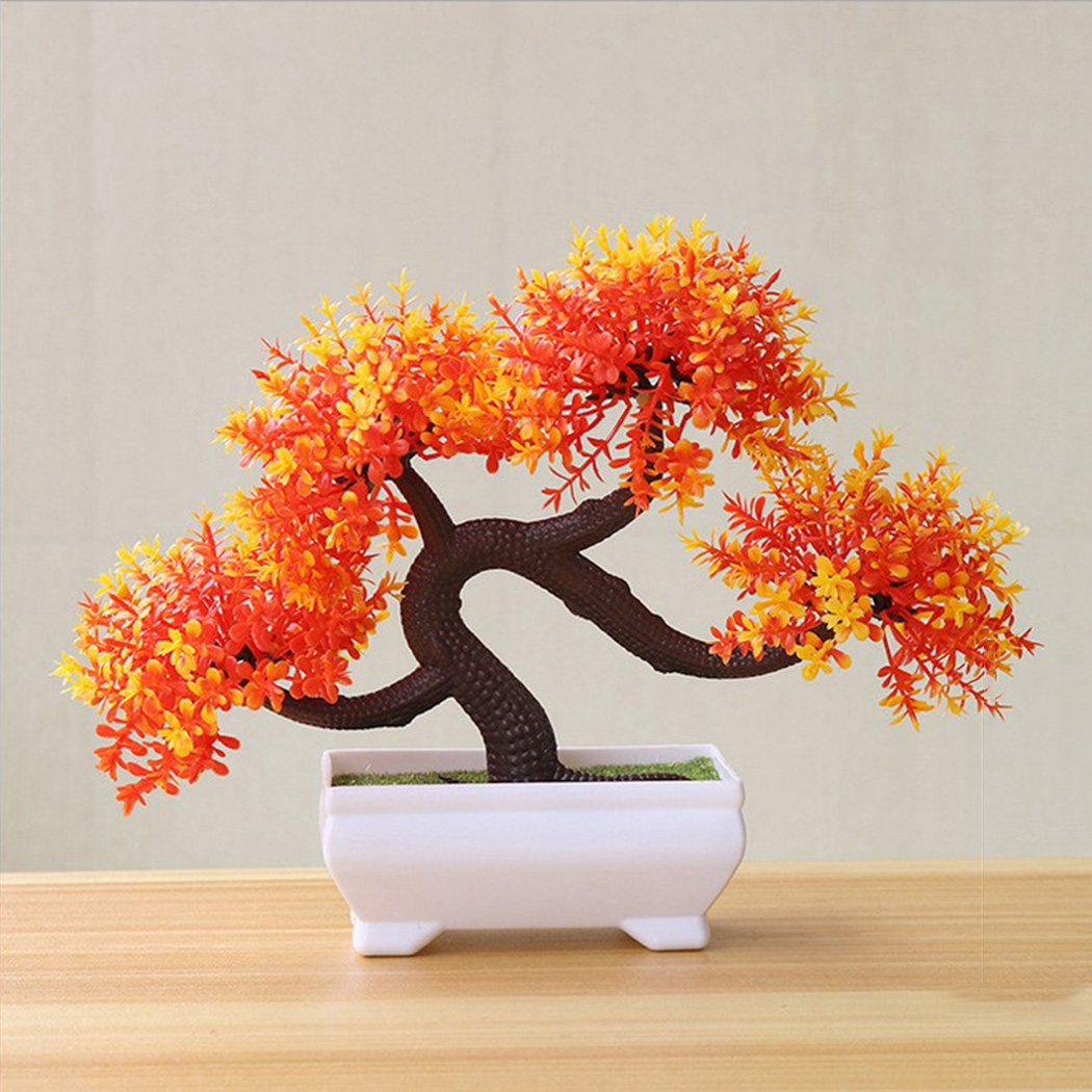 ต้นบอนไซตกแต่งในกระถางสำหรับห้ - Bonsai Garden Backyard บทวิจารณ์และราคา