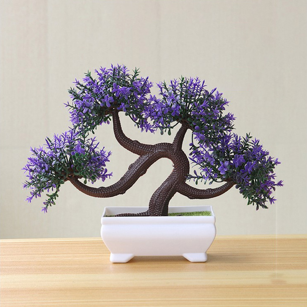 ต้นบอนไซตกแต่งในกระถางสำหรับห้ - Bonsai Garden Backyard บทวิจารณ์และราคา