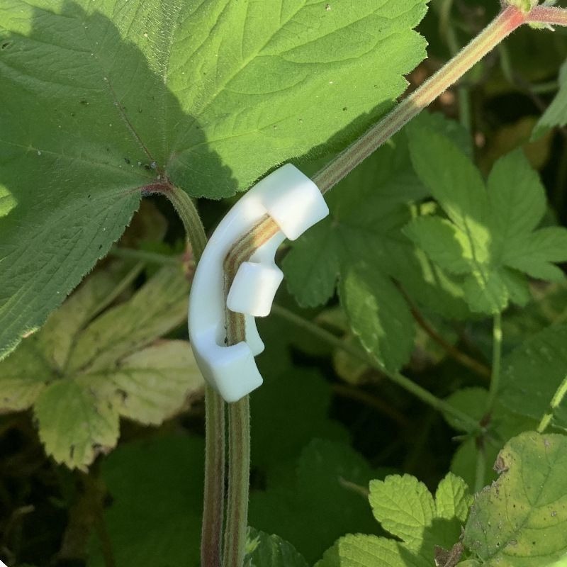 เครื่องมือดัดกิ่งบอนไซ ตะขอเกี - Concave Branch Cutter บทวิจารณ์และราคา