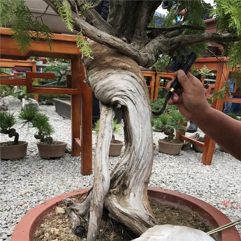 A74E-Bonsai Scraper ชุดเครื่อง - Concave Branch Cutter บทวิจารณ์และราคา