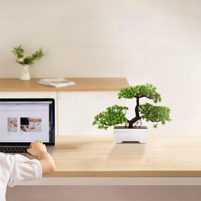 บอนไซประดิษฐ์พลาสติก Bionic โร - Bonsai Garden For Desk บทวิจารณ์และราคา