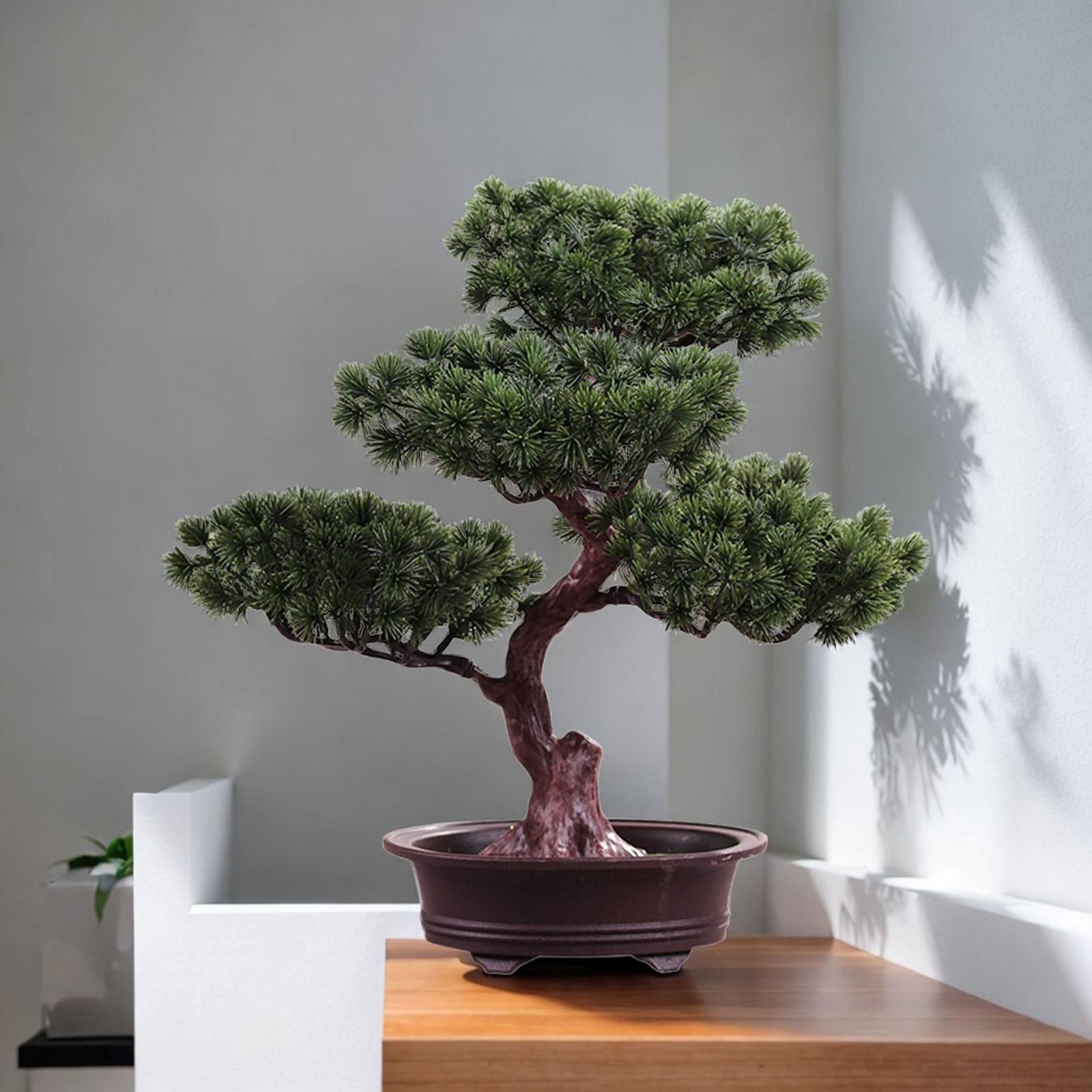 ประดิษฐ์บอนไซปลอมต้นไม้กระถางต - Bonsai Tree Zen Garden บทวิจารณ์และราคา