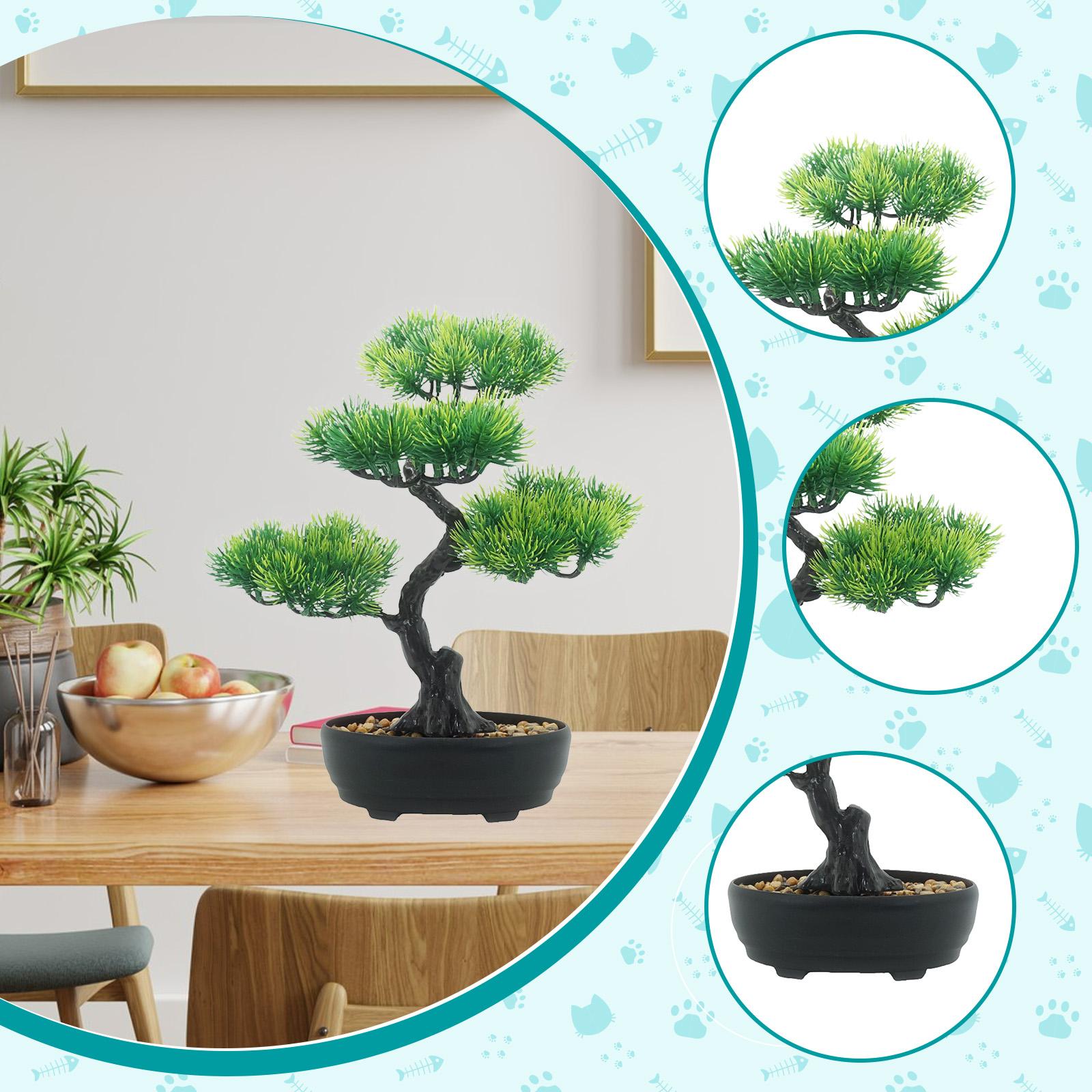 ประดิษฐ์บอนไซปลอมต้นไม้กระถางต - Bonsai Tree Zen Garden บทวิจารณ์และราคา