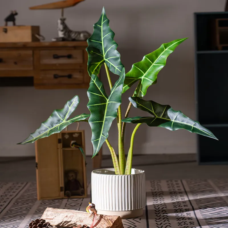 ต้นบอนไซจำลองขนาดเล็ก ขายดี ต้ - Bonsai Garden For Sale บทวิจารณ์และราคา