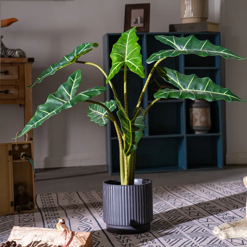 ต้นบอนไซจำลองขนาดเล็ก ขายดี ต้ - Bonsai Garden For Sale บทวิจารณ์และราคา