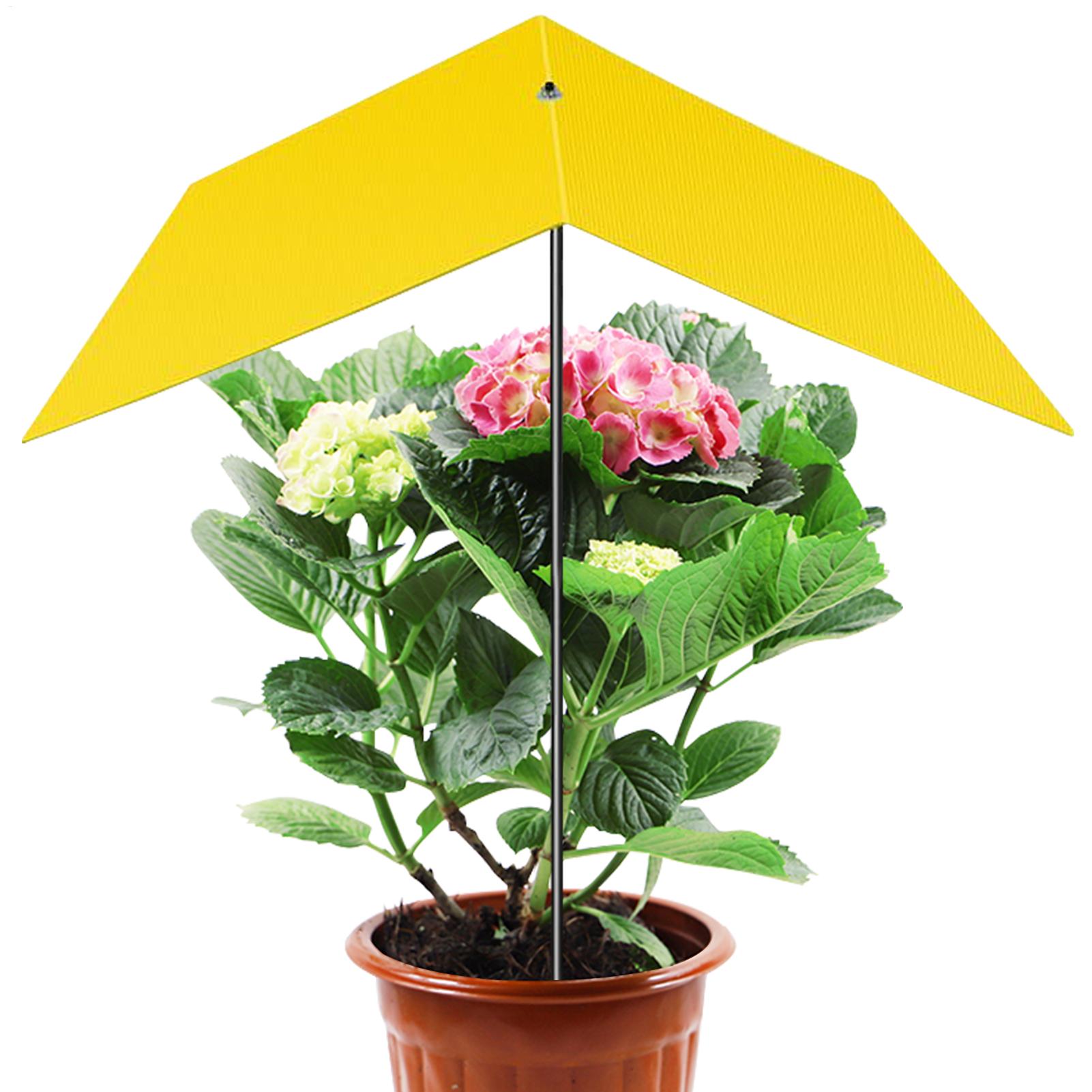 ร่มสำหรับพืชกลางแจ้ง ร่มกันแดด - Bonsai Garden Backyard บทวิจารณ์และราคา